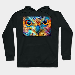 Colorful Owl Hoodie